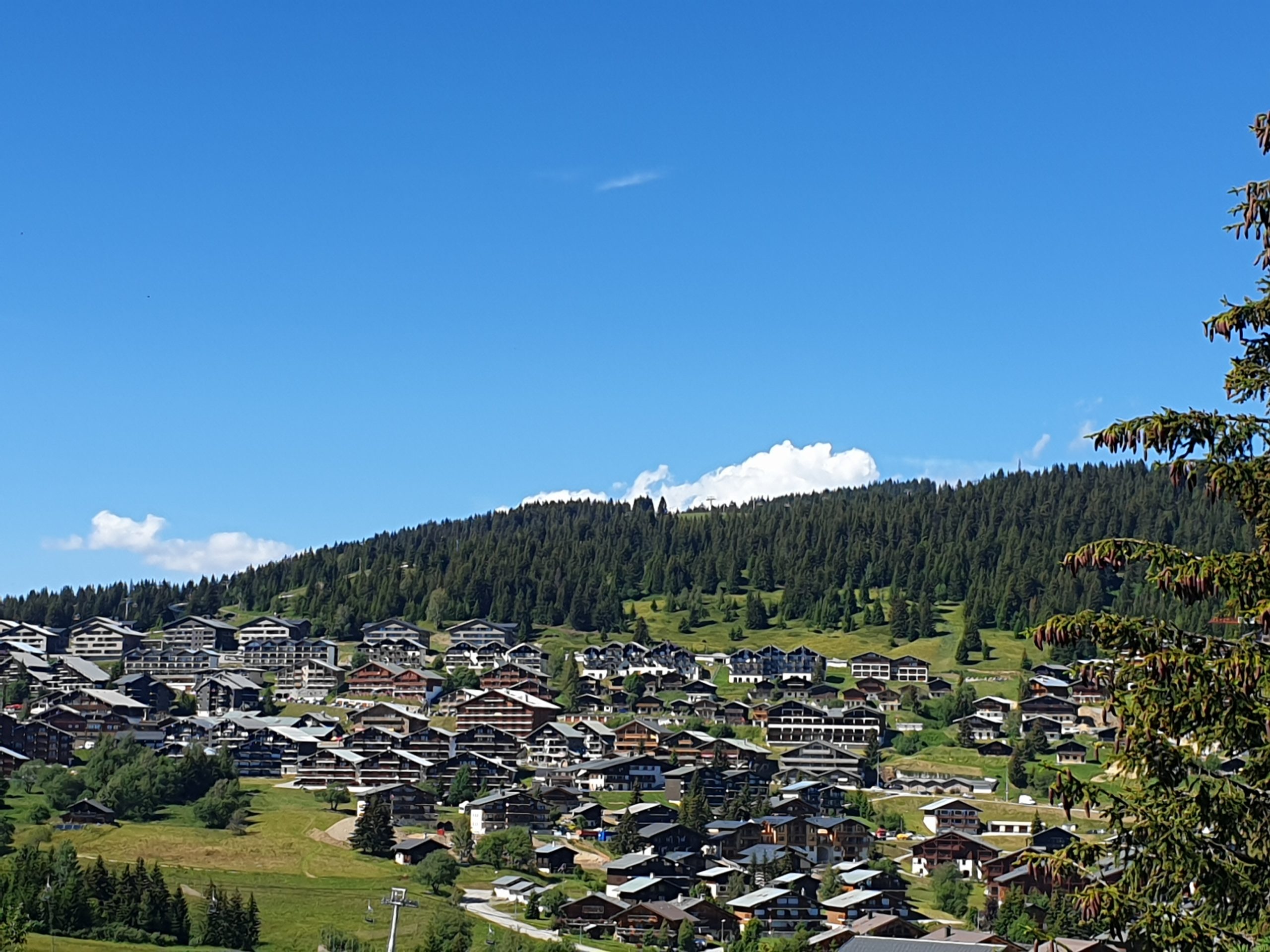 luge d   t   aux Saisies Savoie