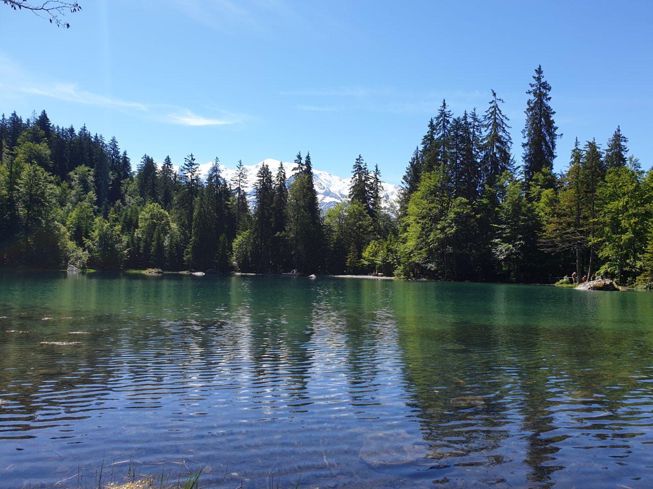 Le Lac Vert à Passy