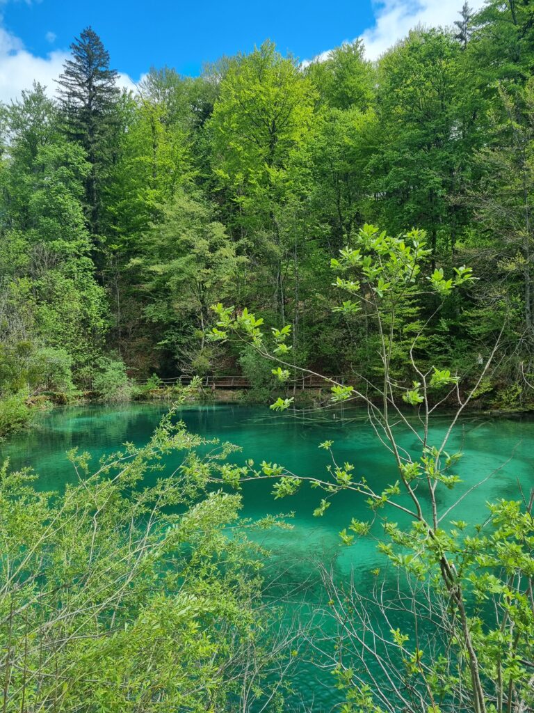 lacs de plitvice Croatie lacs supérieurs