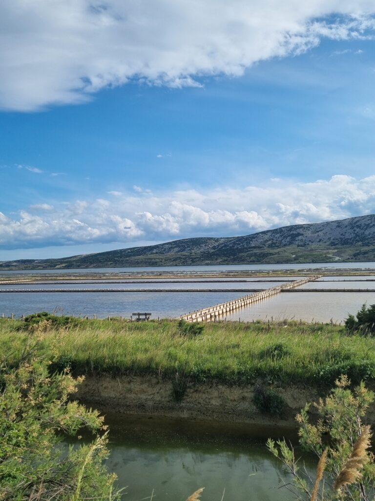 ile pag Croatie saline